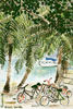 Dog's Beach